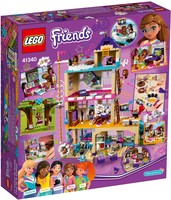 Набор LEGO Дом дружбы