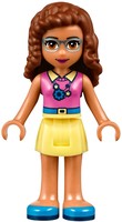 Набор LEGO Дом дружбы