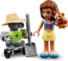 Набор LEGO Olivia's Flower Garden