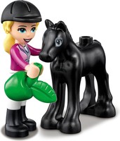 Набор LEGO Horse Training and Trailer