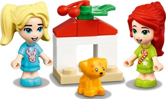 Набор LEGO Friends Advent Calendar 2021