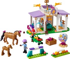 Набор LEGO 41746 Horse Training