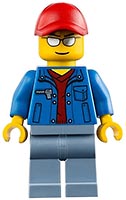 Набор LEGO Транспорт для перевозки автомобилей