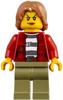 Набор LEGO Погоня в горах