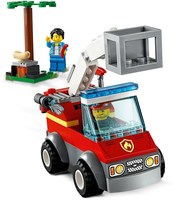 Набор LEGO Пожар на пикнике