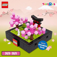 Набор LEGO 6307985 Spring