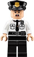 Набор LEGO Специальная доставка от Пугала