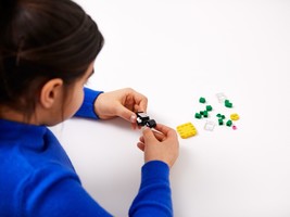 Набор LEGO Paragoomba