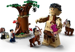 Набор LEGO Forbidden Forest: UmbridgeвЂ™s Encounter