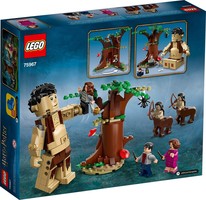 Набор LEGO Forbidden Forest: UmbridgeвЂ™s Encounter