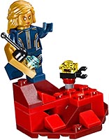 Набор LEGO Месть Айеши