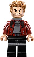 Набор LEGO Месть Айеши