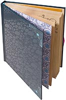 Набор LEGO 853565 Elves Emily Jones' Diary Sketch Book