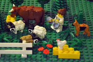 Набор LEGO MOC-13495 Simple Dorper Sheep