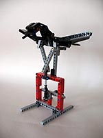 Набор LEGO Черная птица