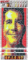 Набор LEGO Кэрол Кирквуд