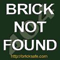 Набор LEGO Роуэн Аткинсон