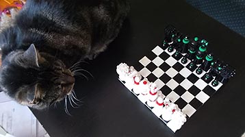 Набор LEGO Маленький набор шахмат