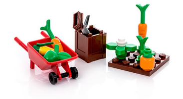 Набор LEGO 561507 Садоводство