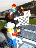 Набор LEGO Скачки